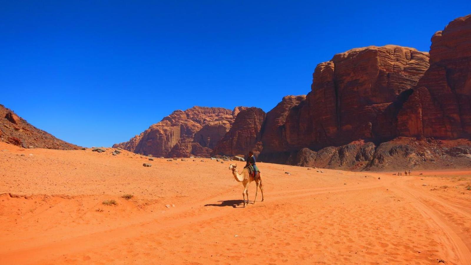 Wadi Rum Magic Nature Camp Exterior photo