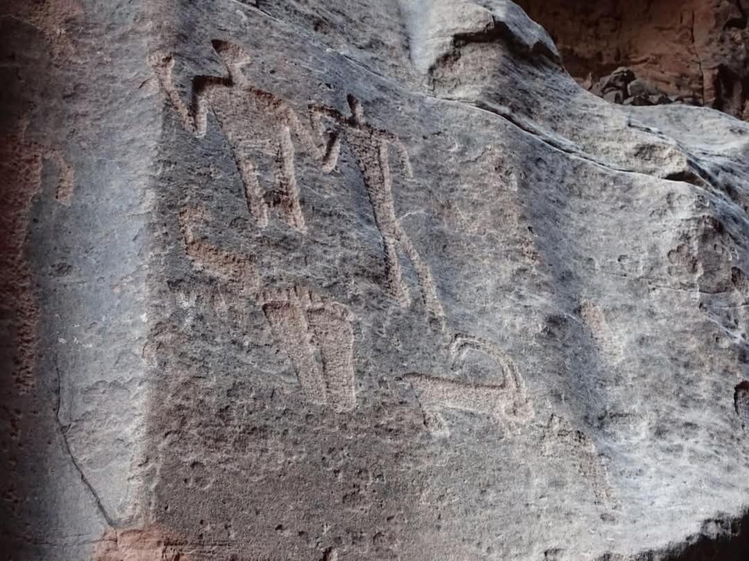 Wadi Rum Magic Nature Camp Exterior photo