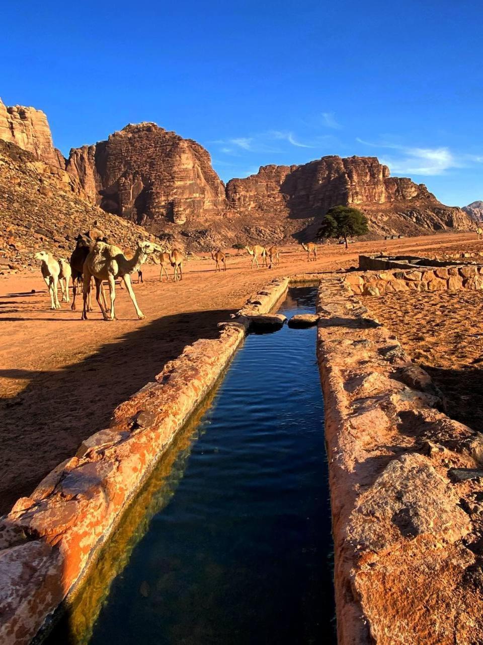 Wadi Rum Magic Nature Camp Exterior photo